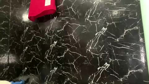 Snapshot of daylebellman chatting on 12, 4, 2026 May online show from 12, 4, 2026