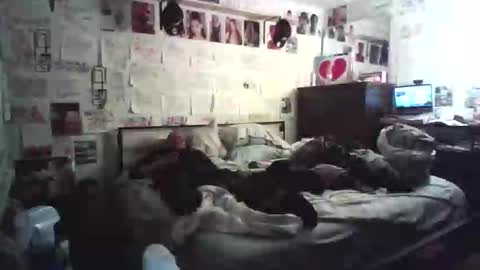 Snapshot of dbeamon92 chatting on 7, 2, 2026 dbeamon92 online show from 7, 2, 2026