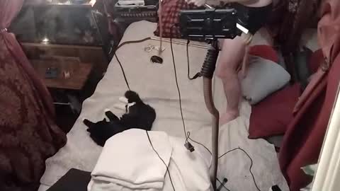 nik and cherry online show from 4, 1, 2025