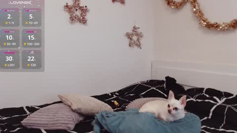 Demi. not your babybabebb and other shit online show from 25, 12, 2024