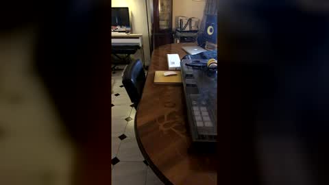 Demonomad online show from 19, 3, 2026