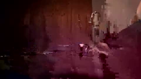 den2807 online show from 3, 4, 2026