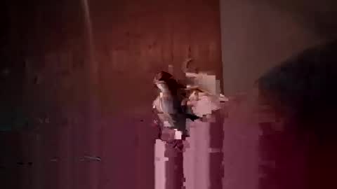 den2807 online show from 14, 4, 2026