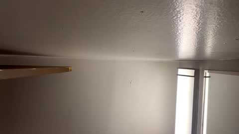 Nastytae313 online show from 8, 1, 2025