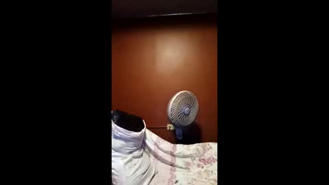 Snapshot of devensingh chatting on 20, 3, 2026 devensingh online show from 20, 3, 2026