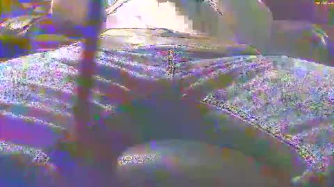 dfwgonewrong online show from 3, 11, 2025