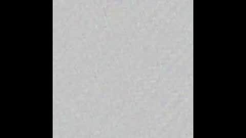 dice_steele online show from 8, 3, 2026