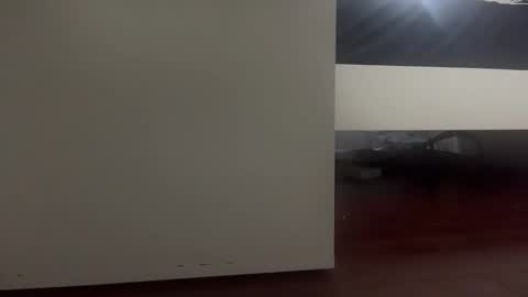 Snapshot of dickmanthe1 chatting on 13, 1, 2026 dickmanthe1 online show from 13, 1, 2026