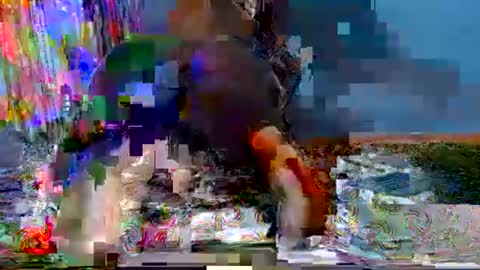 dickrater24 online show from 21, 12, 2025