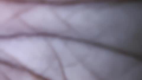 Snapshot of dicks_balls chatting on 1, 12, 2024 Dick balls online show from 1, 12, 2024