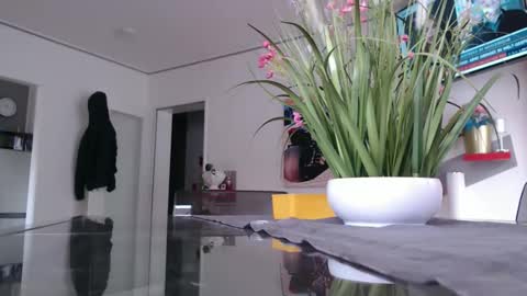 squirtcock online show from 2, 2, 2026