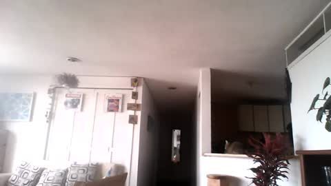 Snapshot of diego_incubo_ii chatting on 15, 7, 2026 diego_incubo_ii online show from 15, 7, 2026