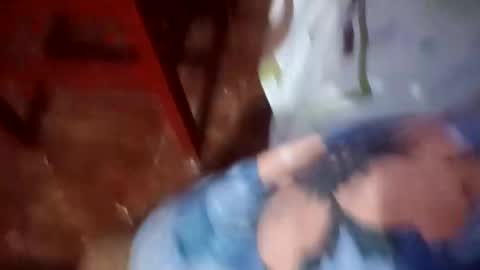 diegol1217 online show from 6, 1, 2025