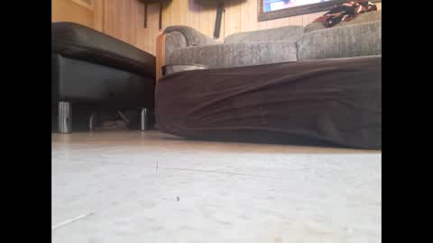 Snapshot of dildosnme22 chatting on 19, 2, 2025 dildosnme22 online show from 19, 2, 2025