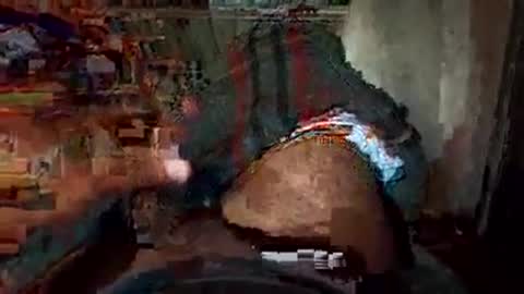 dyno online show from 22, 11, 2025