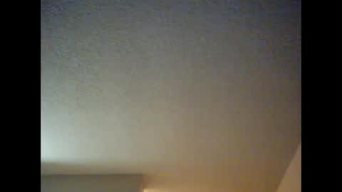 Snapshot of dipstik11 chatting on 8, 12, 2024 DIPSTIK online show from 8, 12, 2024