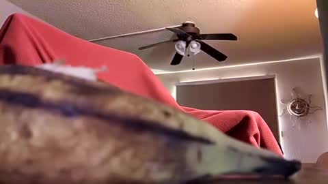 Snapshot of dipstik11 chatting on 9, 10, 2025 DIPSTIK online show from 9, 10, 2025