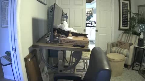 DirtkPitt Fun guy working online show from 21, 1, 2025