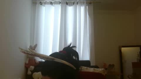 disneey2888 online show from 12, 11, 2025