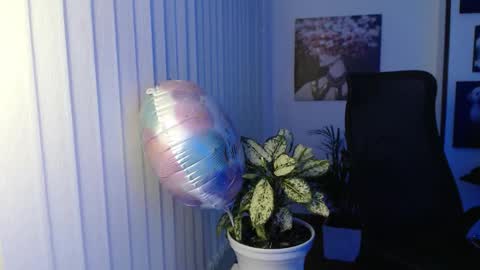 Hera online show from 8, 11, 2025