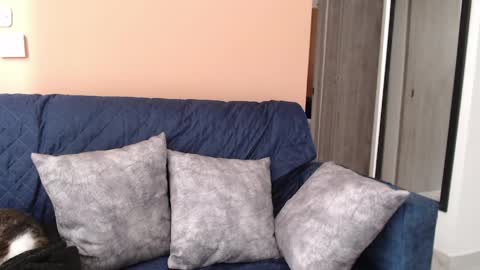 Hera online show from 8, 4, 2026