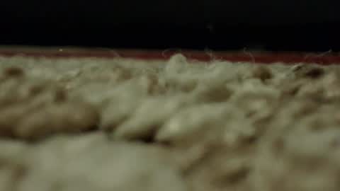 Snapshot of djwats chatting on 24, 2, 2025 Mmmmgood online show from 24, 2, 2025