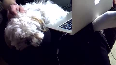 DKdad online show from 4, 12, 2025