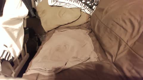 do4you2 online show from 18, 1, 2025