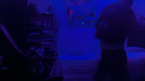 Dogboi online show from 25, 6, 2026