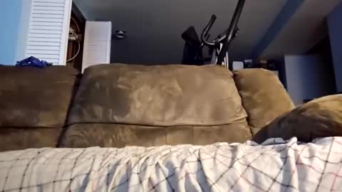 dogbone999081 online show from 3, 12, 2025