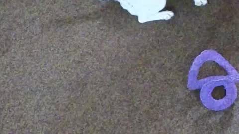 Snapshot of dollniki chatting on 29, 10, 2025 Niki Doll online show from 29, 10, 2025