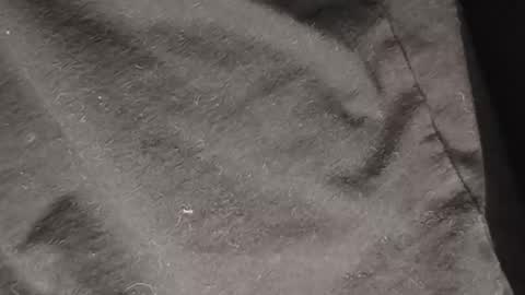 dondiego5511 online show from 2, 3, 2026