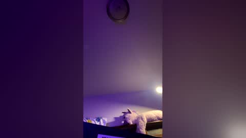 doodlez224472 online show from 16, 4, 2026