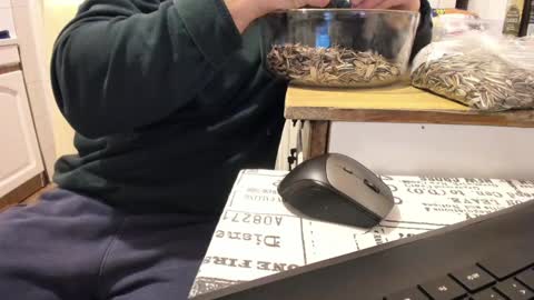 Snapshot of doriancretu95 chatting on 1, 1, 2025 menu below online show from 1, 1, 2025