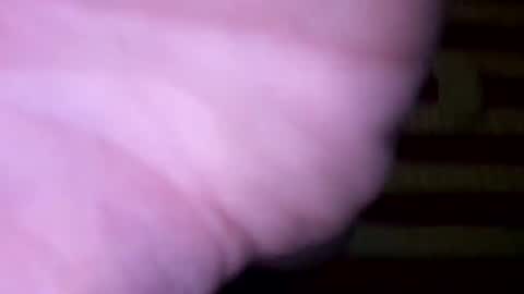 Snapshot of dougiebisme chatting on 31, 5, 2026 dougiebisme online show from 31, 5, 2026
