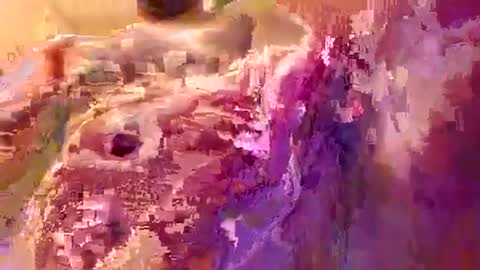 down2fuckyobitch online show from 19, 9, 2025