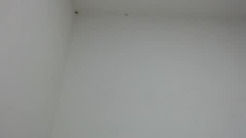 drako_monstercock online show from 17, 1, 2026