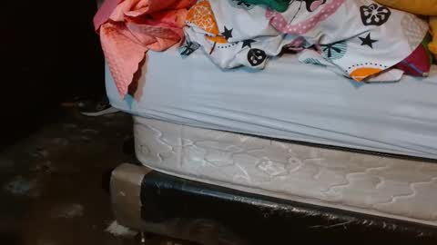Snapshot of dream_real chatting on 12, 5, 2026 dreamreal online show from 12, 5, 2026