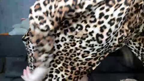 Snapshot of dreamesoul chatting on 7, 11, 2025 dreamesoul online show from 7, 11, 2025