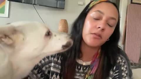 RIRI OR DREAMY online show from 11, 2, 2026