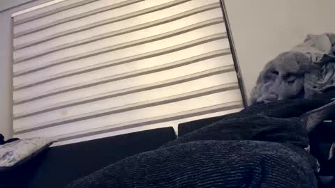 drippinggenie online show from 26, 12, 2024