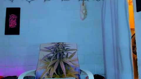 Snapshot of drippyorlove chatting on 1, 7, 2026 drippyorlove online show from 1, 7, 2026
