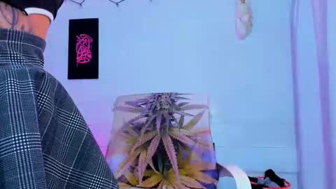 Snapshot of drippyorlove chatting on 2, 7, 2026 drippyorlove online show from 2, 7, 2026