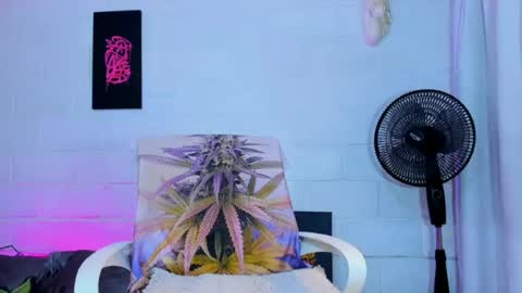 Snapshot of drippyorlove chatting on 3, 7, 2026 drippyorlove online show from 3, 7, 2026