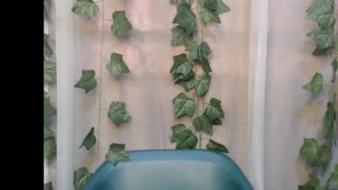 linda online show from 13, 9, 2025