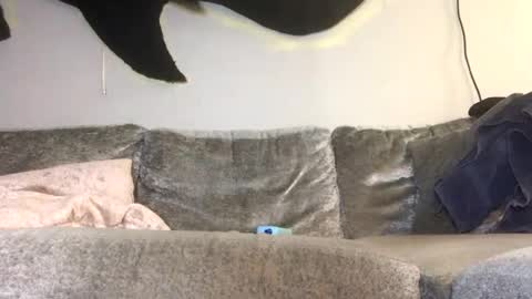 Snapshot of drobbb656 chatting on 26, 2, 2026 2xTheTrouble online show from 26, 2, 2026