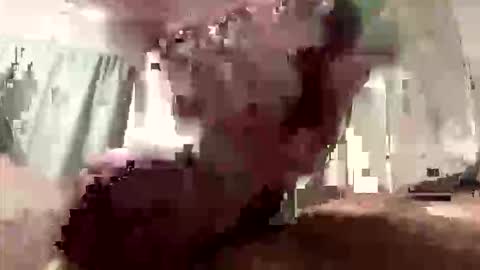 Snapshot of droppingloads82 chatting on 8, 3, 2026 droppingloads82 online show from 8, 3, 2026