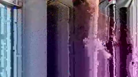 Snapshot of dsmock chatting on 1, 10, 2025 dsmock online show from 1, 10, 2025