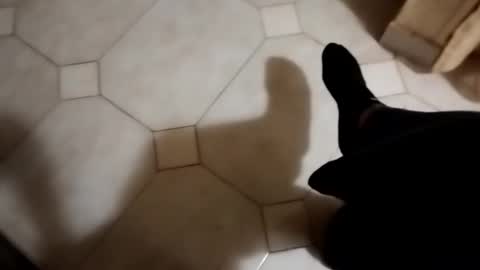 dthedog12 online show from 22, 10, 2025