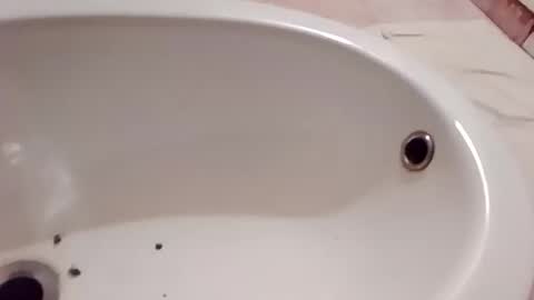 dthedog12 online show from 10, 1, 2026